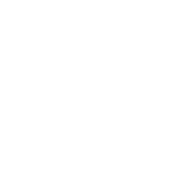 Knee